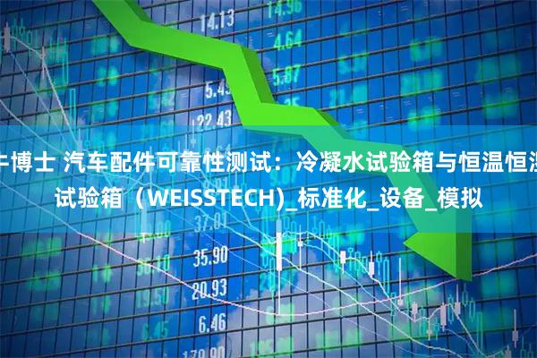 牛博士 汽车配件可靠性测试：冷凝水试验箱与恒温恒湿试验箱（WEISSTECH)_标准化_设备_模拟